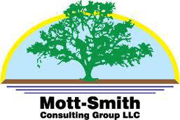 Mott-Smith Consulting Group, llc